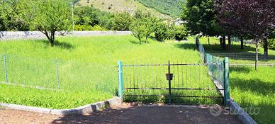 Terreno agricolo
