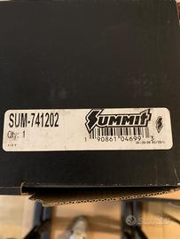 Pignone e corona summit racing