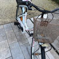 Bicicletta con cambio