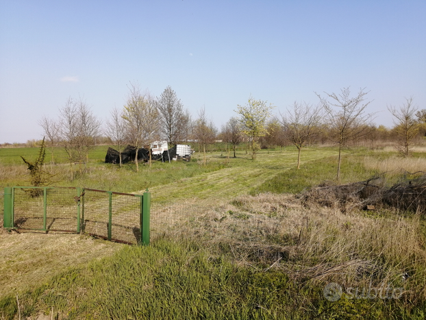 Bosco querce e faggio