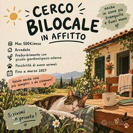 BILOCALE / PICCOLO APPARTAMENTO 🏡