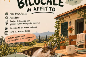 BILOCALE / PICCOLO APPARTAMENTO 🏡