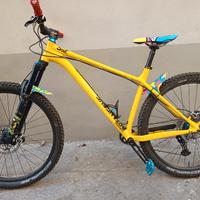 mtb hardtail
