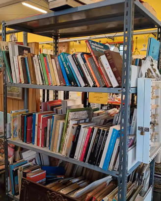 Svendita Libri Fumetti al Centro Affari di Bresega