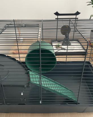 Gabbietta per criceto