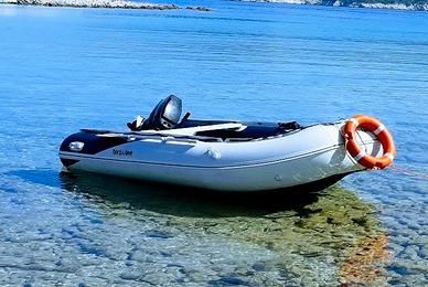 Gommone T40 Honda