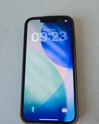 IPhone 13       / 256gb
