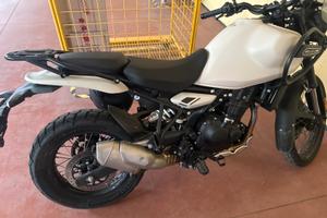 Royal enfiedl himalayan