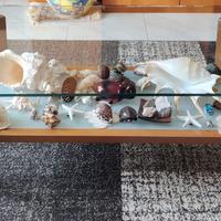 Tavolino da Salotto con vetro