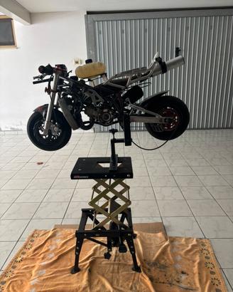 minimoto DM