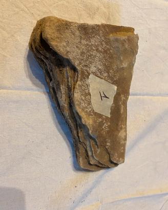 Roccia vera x acquario