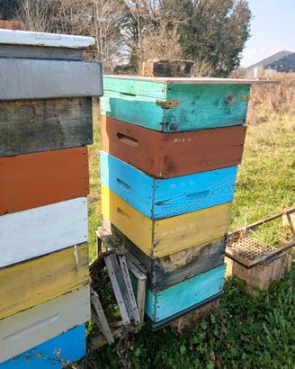 Melari, arnie, escludiregina, altro per apicoltura