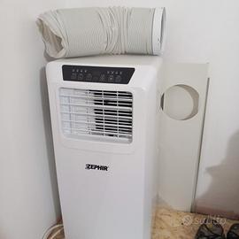 Pinguino condizionatore 