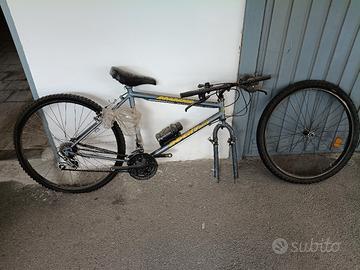 Mountain Bike SHIMANO per Adulti + Rulli Indoor