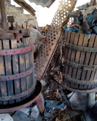 LA VENDEMMIA DI UNA VOLTA