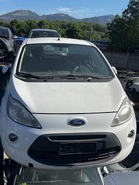 Ricambi muso ford ka