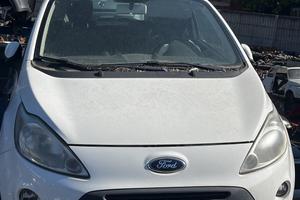 Ricambi muso ford ka