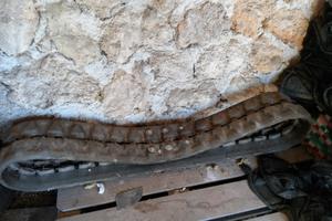 Cingolo usato 230x35x96 miniescavatore