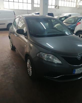 Lancia Ypsilon 1.2 69 cv Ecoshic Gpl Gold Ok Neop.
