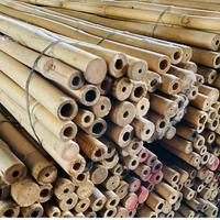 Canne bambu