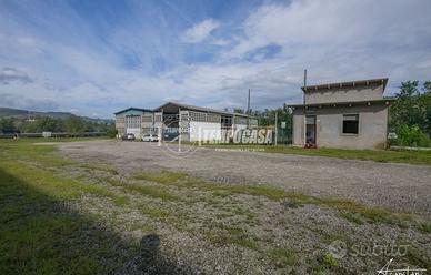 LOTTO DI 6000 MT CON 2 CAPANNONI INDUSTRIALI E UF