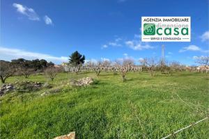 Rif.TA45|Terreno agricolo San Cataldo