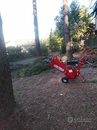 Biotrituratore a scoppio