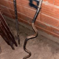 Bilanciere sz circa 20mm