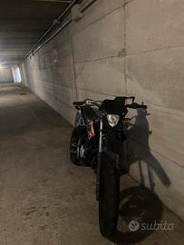  Bera RR 50