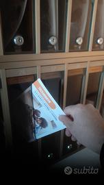 Distribuzione volantini professionale