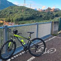Mtb 29