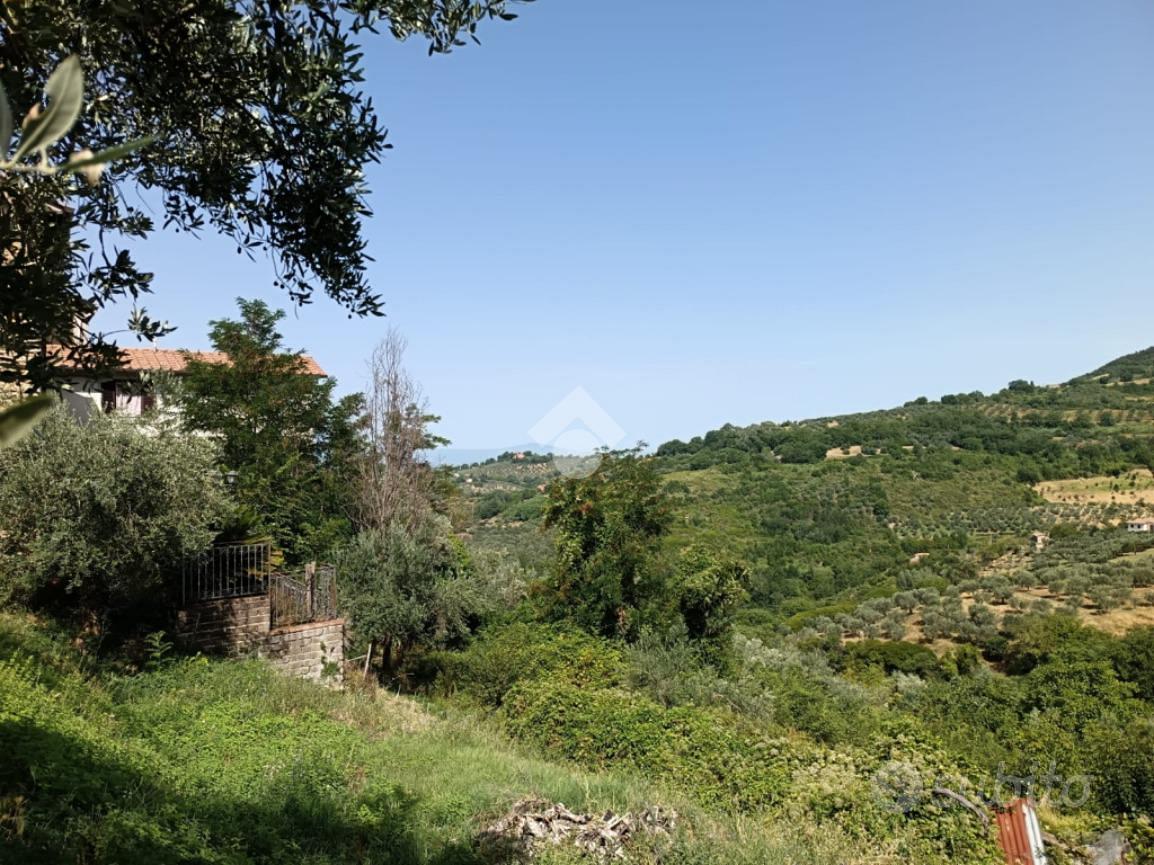TER. AGRICOLO A POGGIO MIRTETO - Vista 3
