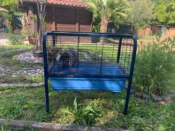 Gabbia per conigli