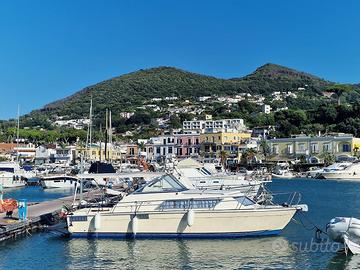 Chris Craft Catalina express 30 - linea d'asse