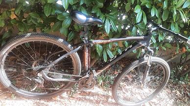 bicicletta mtb 29