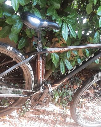 bicicletta mtb 29