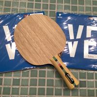 Racchetta ping pong professionale DONIC / VICTAS
