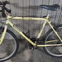 Bicicletta Mountain Bike con cambio Shimano