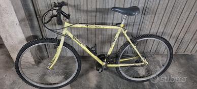 Bicicletta Mountain Bike con cambio Shimano