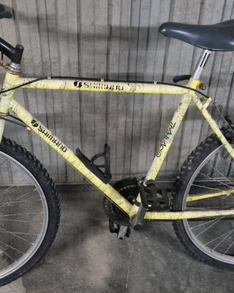 Bicicletta Mountain Bike con cambio Shimano