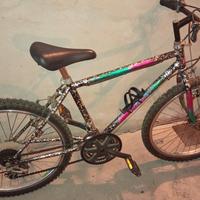 biciclette