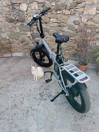 Bici elettrica Lombardo Appia