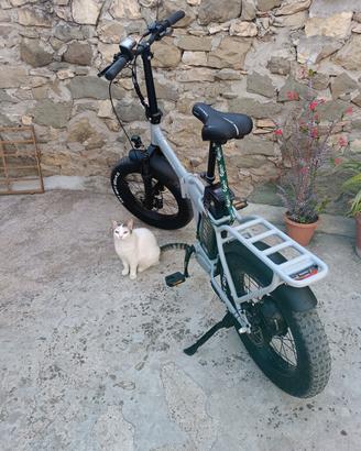 Bici elettrica Lombardo Appia
