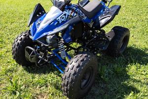 MINIQUAD 125cc 4T – 9 CV – 3 MARCE + RETRO SEMIAUT