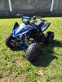MINIQUAD 125cc 4T – 9 CV – 3 MARCE + RETRO SEMIAUT