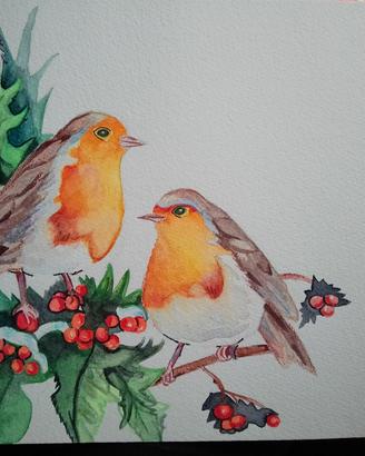 dipinto acquerello pettirossi