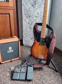 Basso Sire D5 Alder- 4ts
