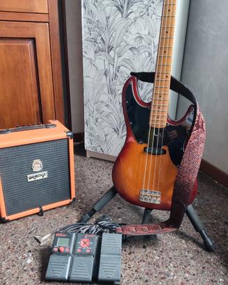 Basso Sire D5 Alder- 4ts