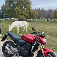 Honda hornet 600 in perfette condizioni