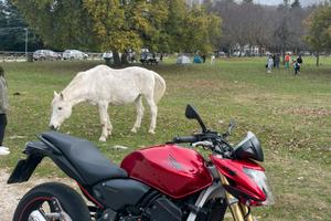 Honda hornet 600 in perfette condizioni